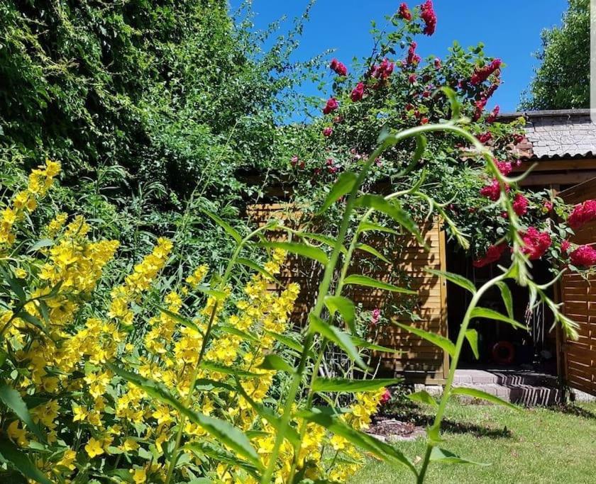 City Appartement Mit Garten, Zentral Und Trotzdem Ruhig Chociebuż Zewnętrze zdjęcie