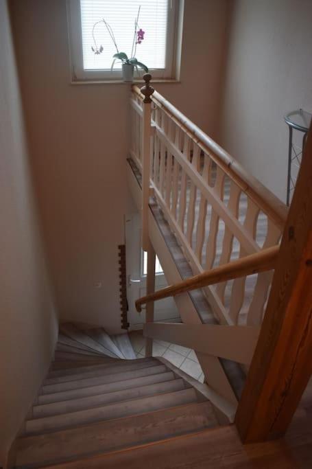 City Appartement Mit Garten, Zentral Und Trotzdem Ruhig Chociebuż Zewnętrze zdjęcie