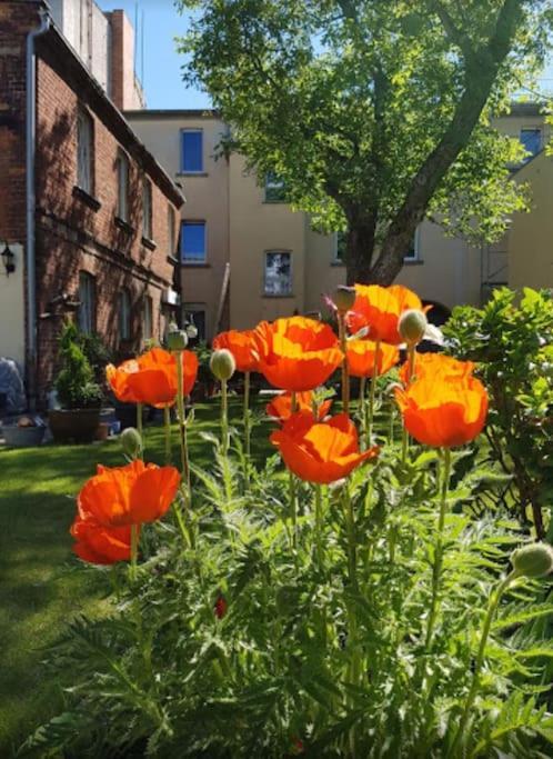 City Appartement Mit Garten, Zentral Und Trotzdem Ruhig Chociebuż Zewnętrze zdjęcie